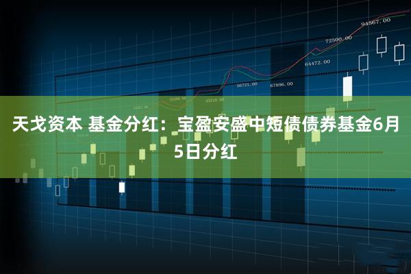 天戈资本 基金分红：宝盈安盛中短债债券基金6月5日分红