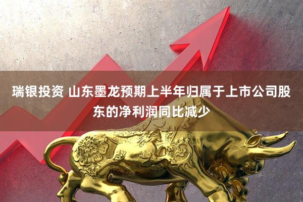 瑞银投资 山东墨龙预期上半年归属于上市公司股东的净利润同比减少