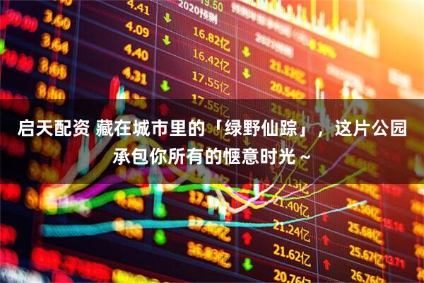 启天配资 藏在城市里的「绿野仙踪」，这片公园承包你所有的惬意时光～