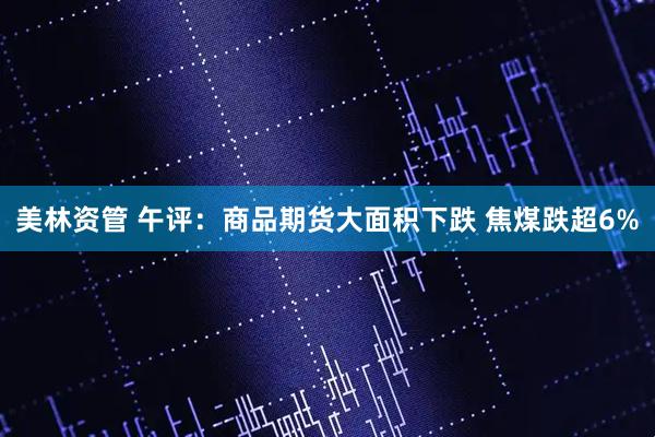 美林资管 午评：商品期货大面积下跌 焦煤跌超6%