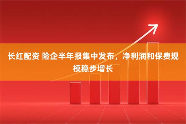 长红配资 险企半年报集中发布,净利润和保费规模稳步增长