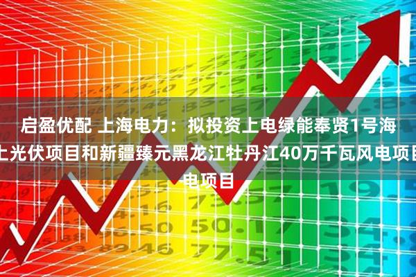 启盈优配 上海电力：拟投资上电绿能奉贤1号海上光伏项目和新疆臻元黑龙江牡丹江40万千瓦风电项目