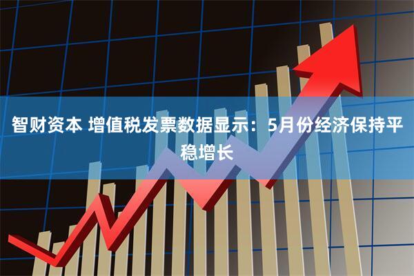 智财资本 增值税发票数据显示：5月份经济保持平稳增长