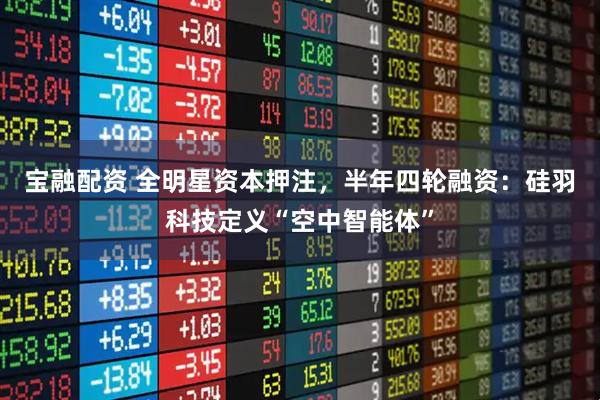 宝融配资 全明星资本押注，半年四轮融资：硅羽科技定义“空中智能体”